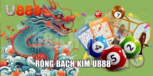 phương pháp rồng bạch kim U888